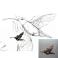 Wisiory koliber,ptaszek,mała zawieszka,ptak