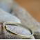 Pierścionki złoty pierścionek,cytrynowe złoto,białe złoto