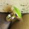 Pierścionki pierścionek,szkło Egija Straujuma,kiwi,zieleń
