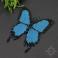 Broszki motyl,niebieska,efektowna,owad,misterna,kobieca