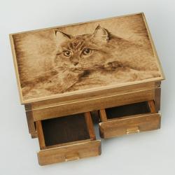 kot,pirografia,wypalanie - Pudełka - Wyposażenie wnętrz