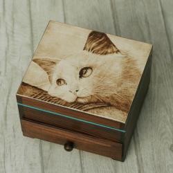 pirografia,kot,szkatułka - Pudełka - Wyposażenie wnętrz