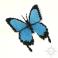 Broszki motyl,niebieska,efektowna,owad,misterna,kobieca